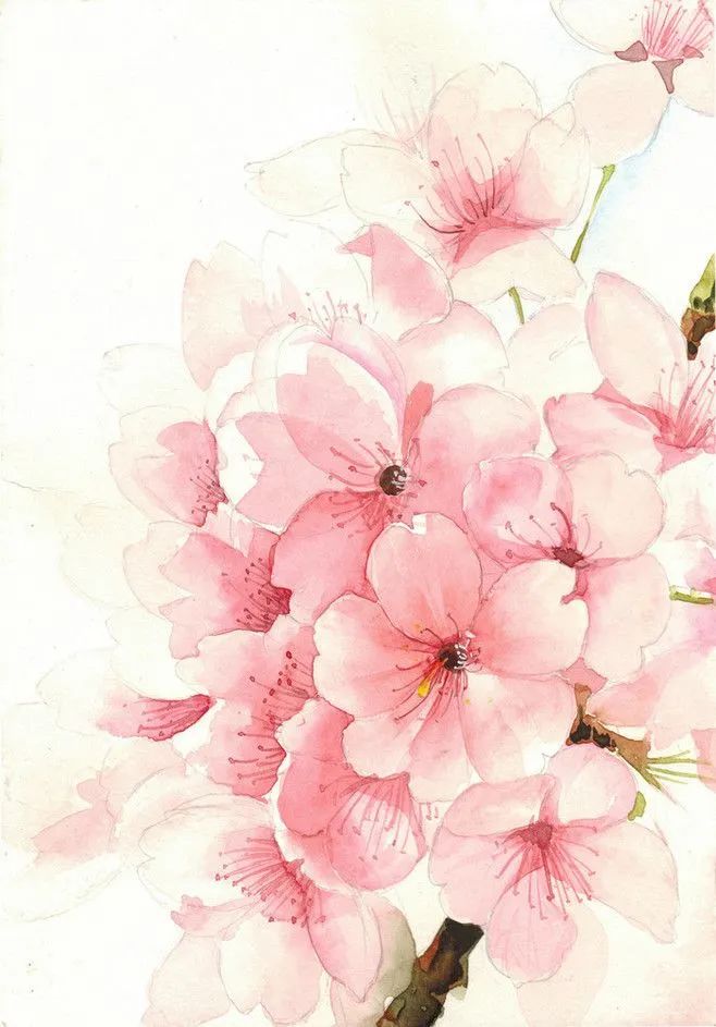 桃花源-LiYou-慕九
