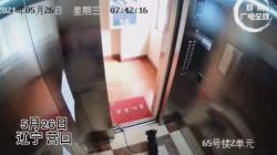 “惊悚”视频在网络上传疯了：狗子在电梯里上吊