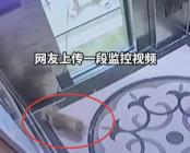 “惊悚”视频在网络上传疯了：狗子在电梯里上吊