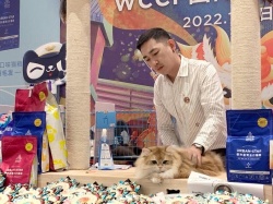 WCCF 2021-2022 国际纯种猫品鉴赛“天猫国际X宠物公民杯”圆满进行