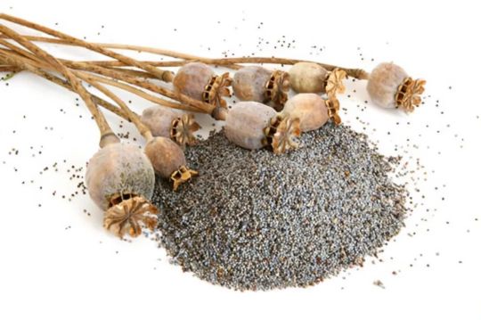 那些戒不掉的火锅汤粉，竟可能是添加了罂粟壳、头痛粉？