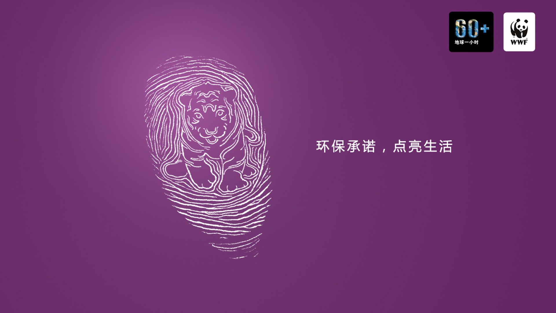 壁纸