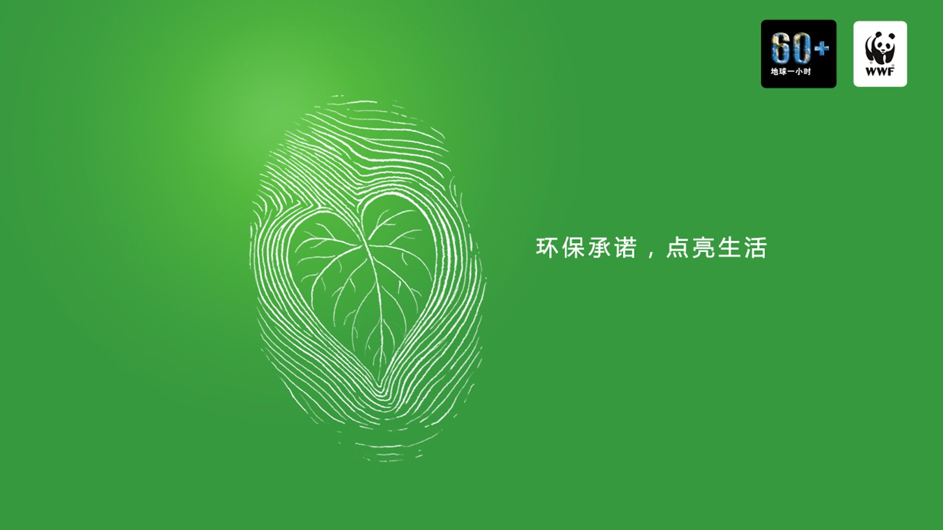 壁纸