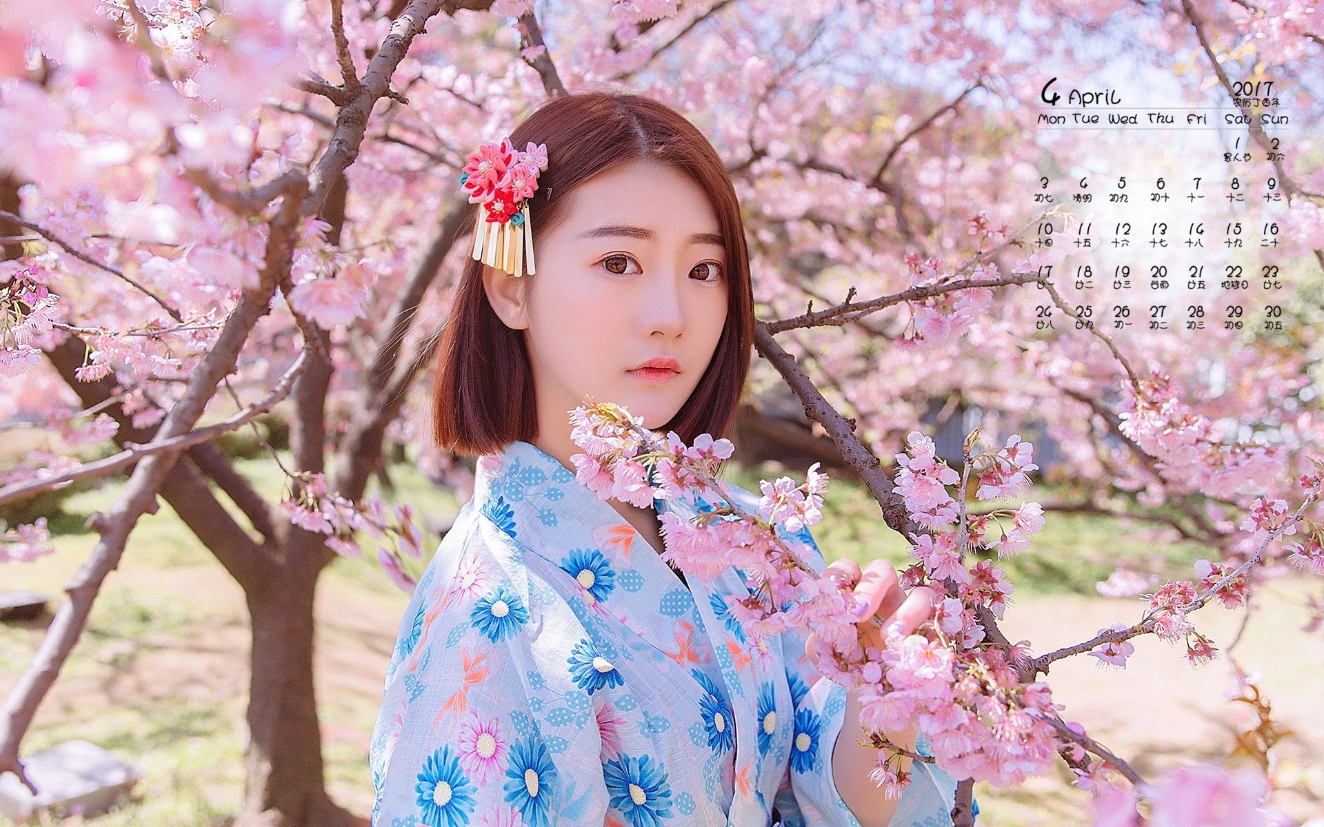 壁纸